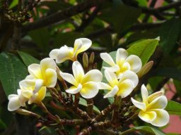 aea3669c-d2a8-4c6b-fb94-fe64b7afa969